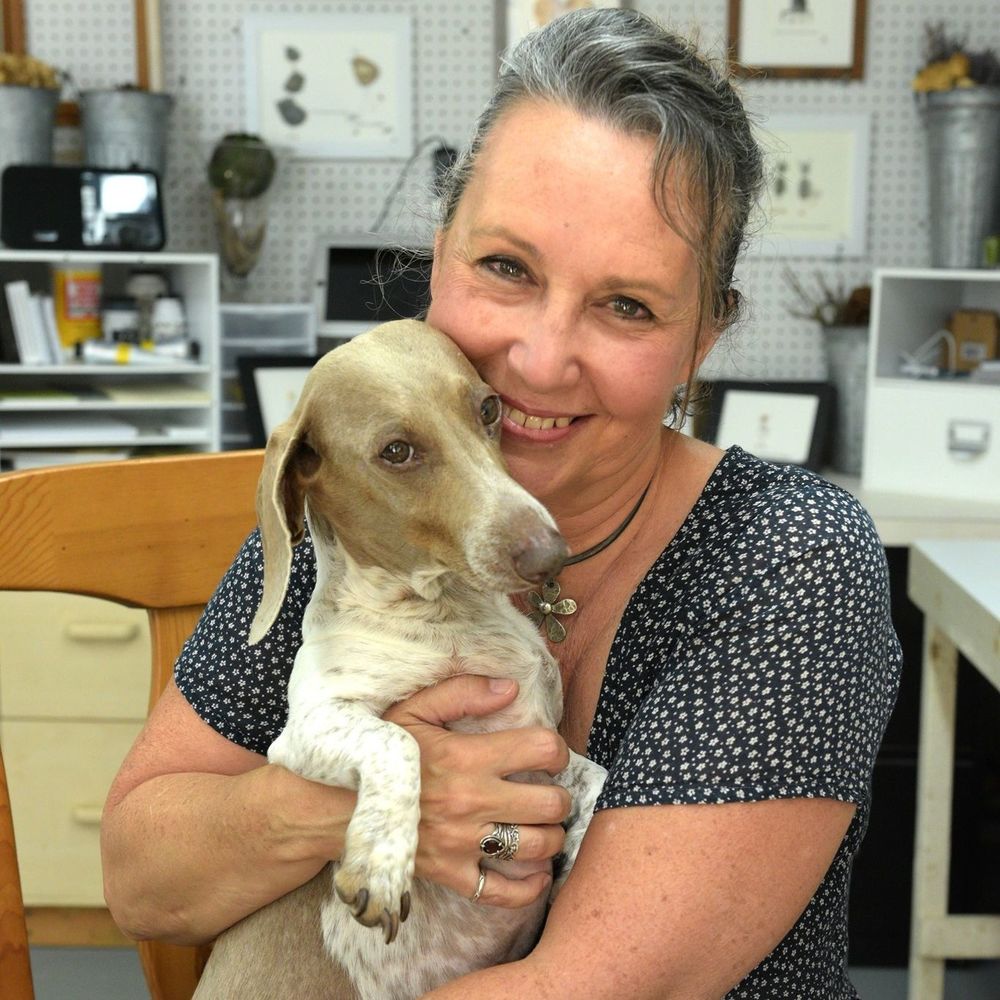 Meet your Posher, Laurie